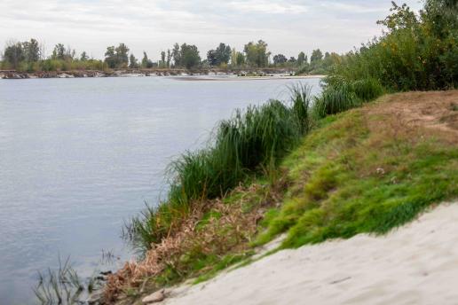 Київський модернізм